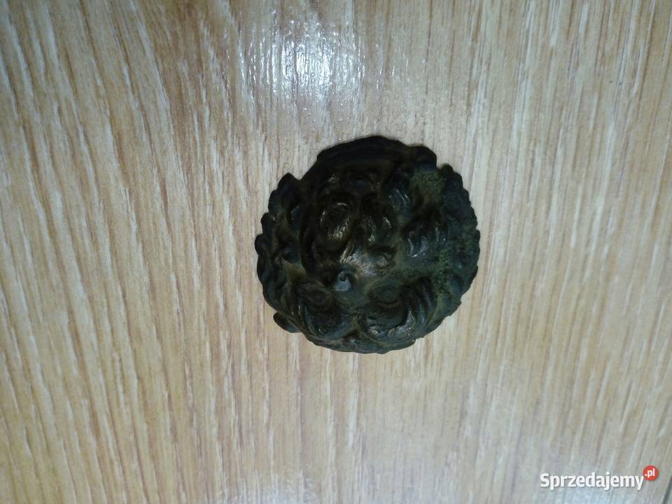 Lew z czako hełmu Militaria