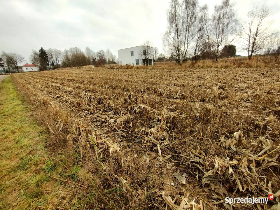 Sprzedaż działki 1600m2 PłouszowiceKolonia Sprzedaż Płouszowice-Kolonia