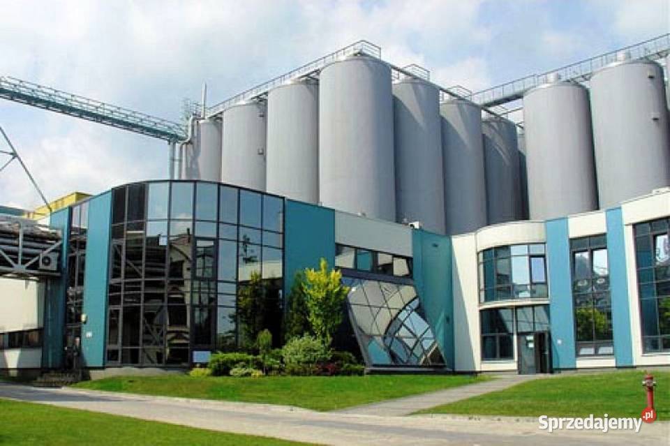 Cement BIAŁY CEM I AALBORG WHITE IR ROYAL Olsztyn sprzedam