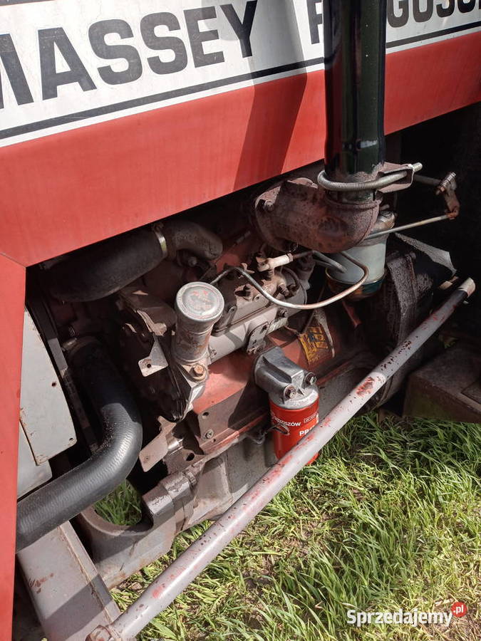 Massey Ferguson Koźminek