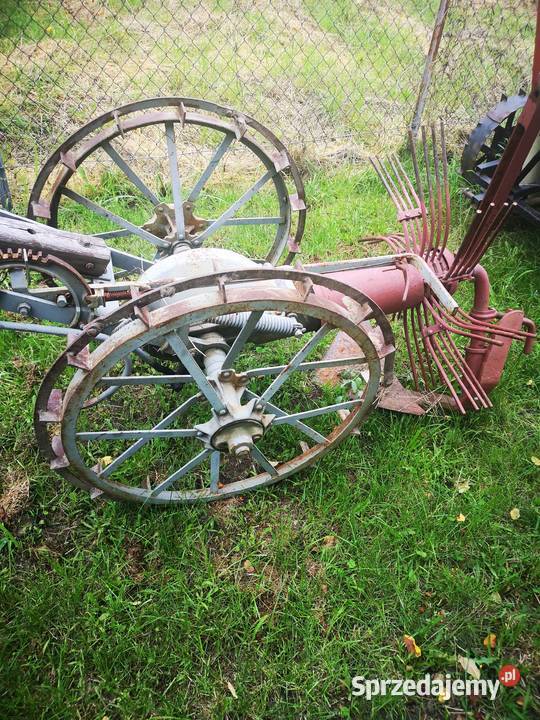 Kopaczka podkarpackie Rzeszów