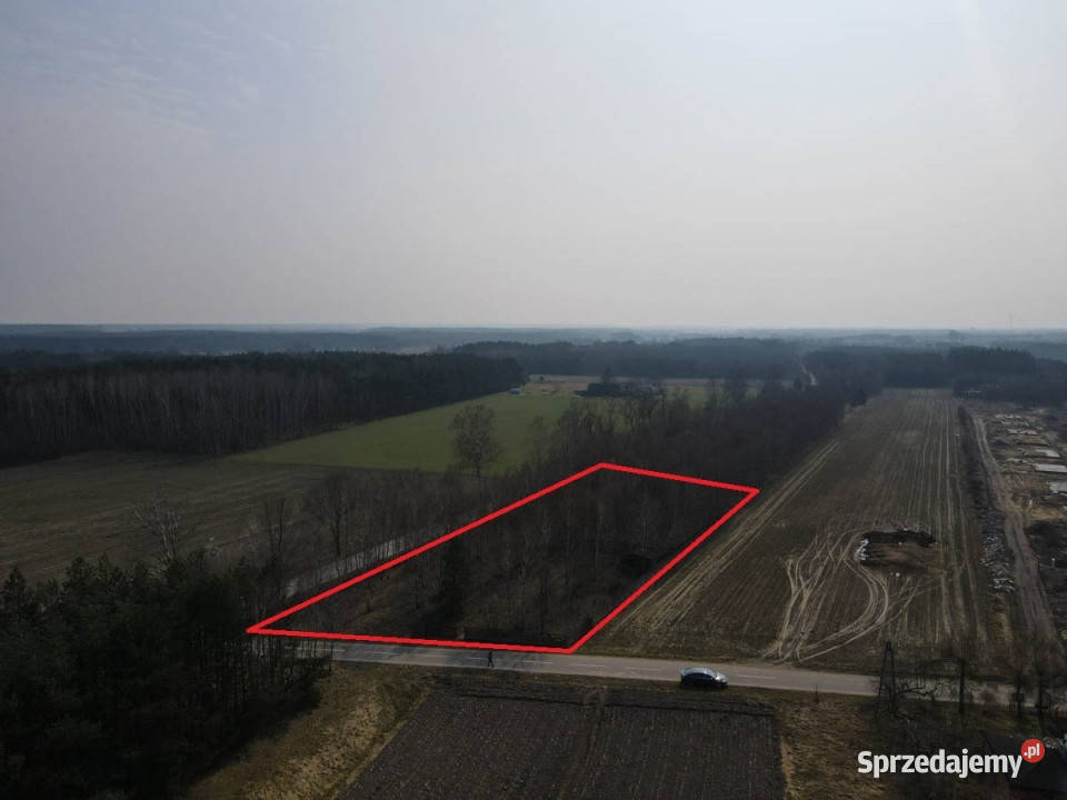 sprzedaży działki 9196m2 Bilew 9196m2