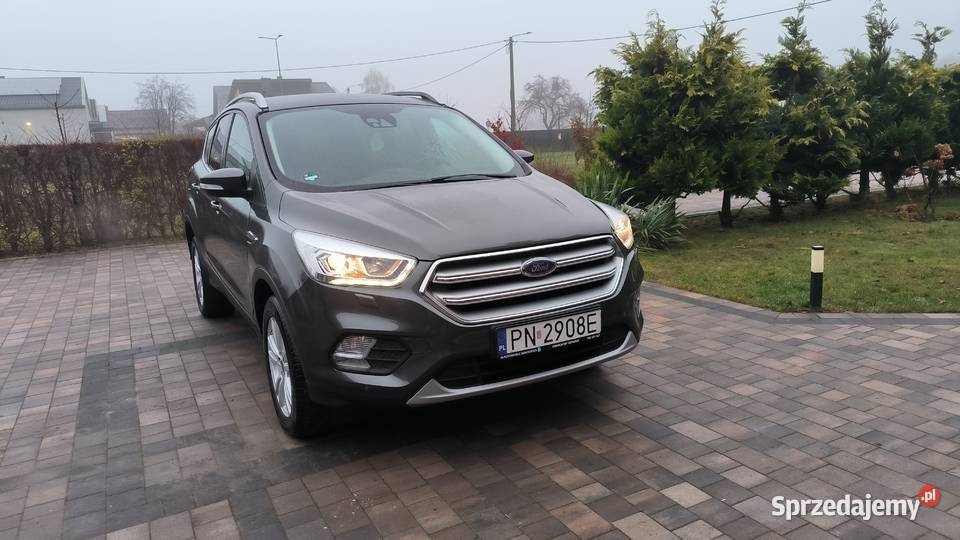 Ford Kuga nieuszkodzony Grąbków