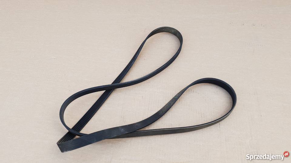 PASEK WIELOROWKOWY A 5419970992 Części Bieleń