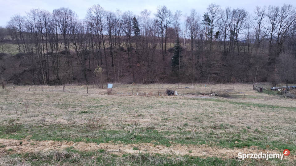 Błędowa Tyczyńska działka 25 AR z WZ uzbrojona sprzedam