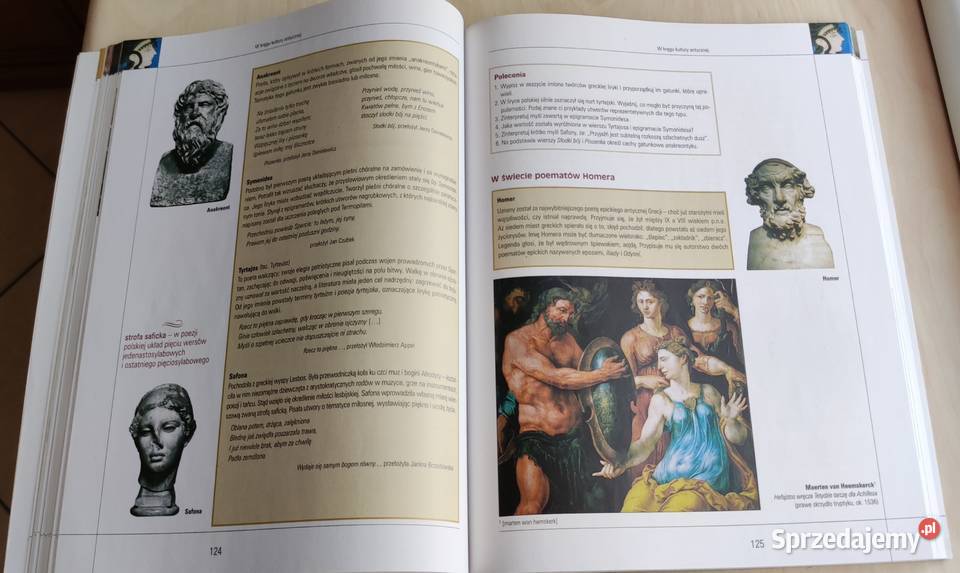 Starożytność i Średniowiecze j polski 1 Podręczniki Kultura i Rozrywka śląskie Katowice