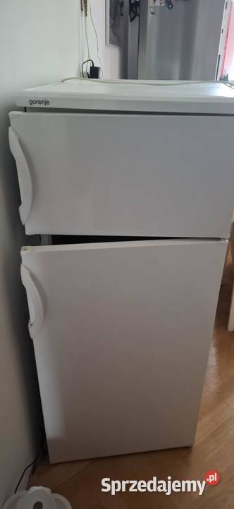 Lodówka Gorenje RF3111AW sprawna zadbana gotowa Lodówki i zamrażarki Lodówki i zamrażarki Katowice sprzedam