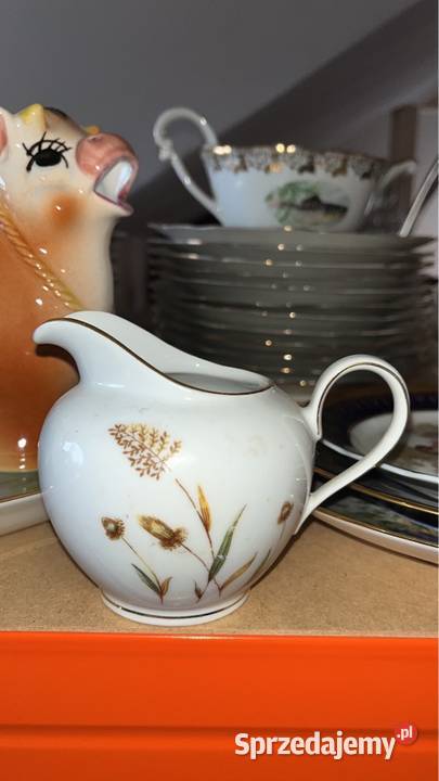 Mlecznik Syg Kahla z trawkami pomorskie Gdańsk