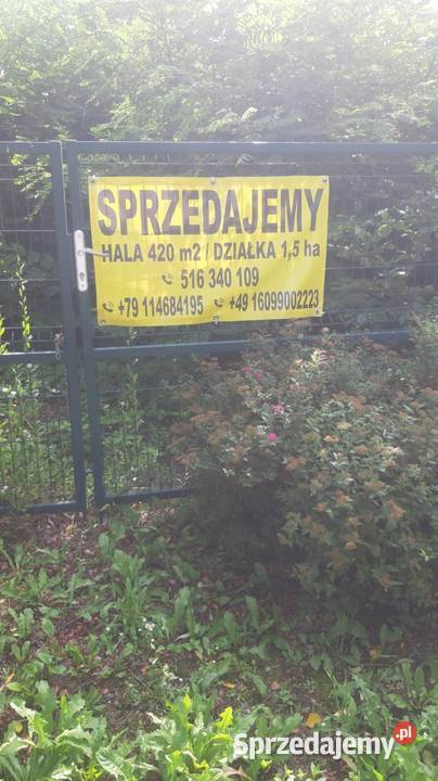 Hala produkcyjna