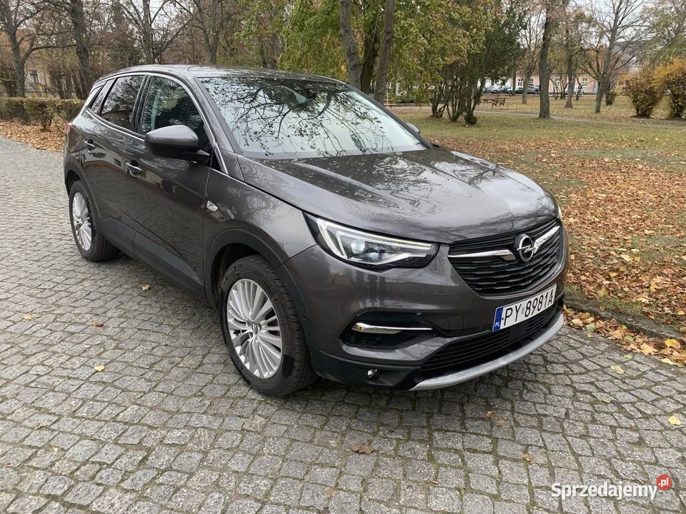 Opel Grandland X Edition 1.5 Diesel 130 KM blue hdi