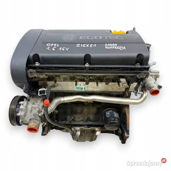 SILNIK Z16XE1 Opel Astra III H Vectra C Zafira B osobowe lubelskie Chełm