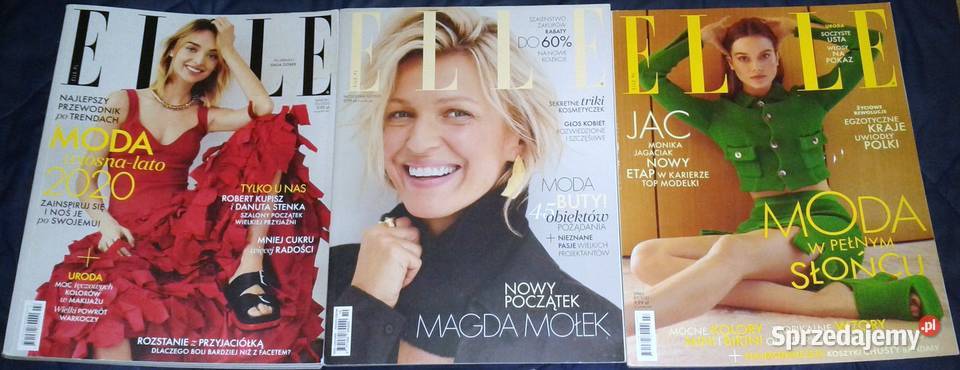 Elle 12 czasopism Rok wydania 2019 lubelskie Chełm