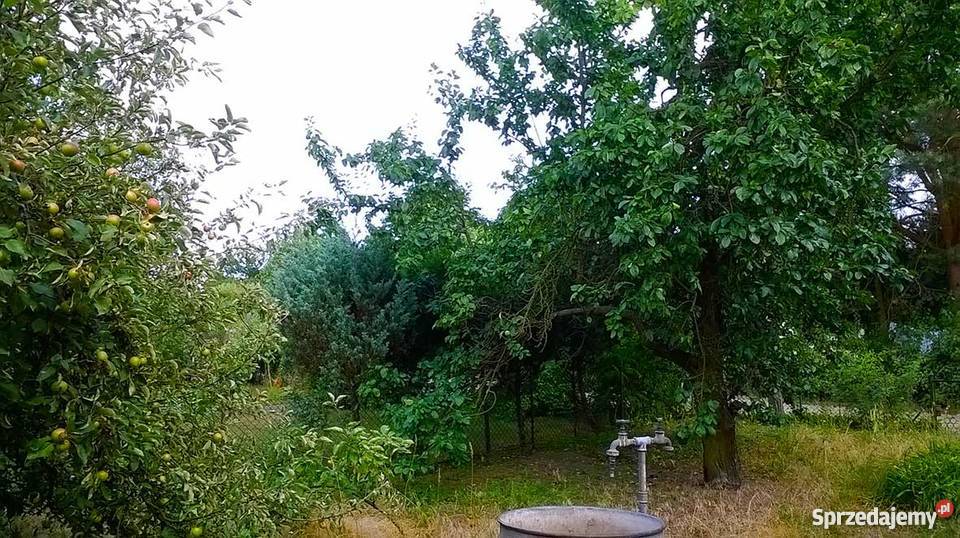 Sprzedam działkę ROD na Smochowicach w Poznaniu Grunty i działki Poznań