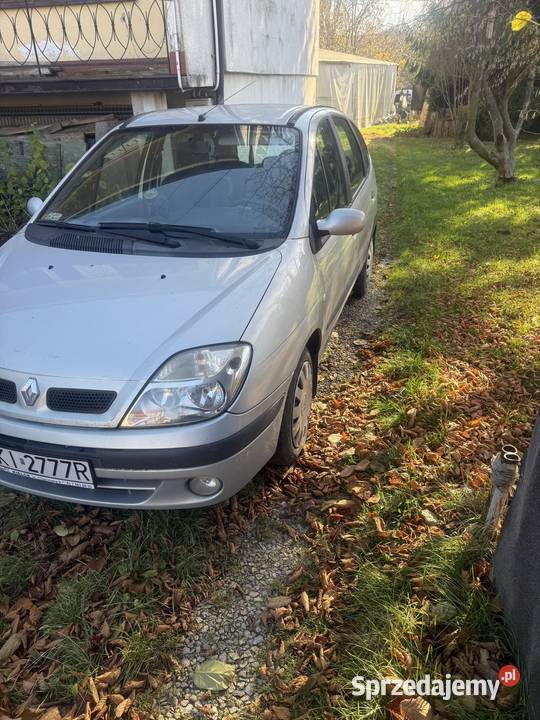 Scenic 16 benzyna z gazem w automacie wspomaganie kierownicy Bieliny