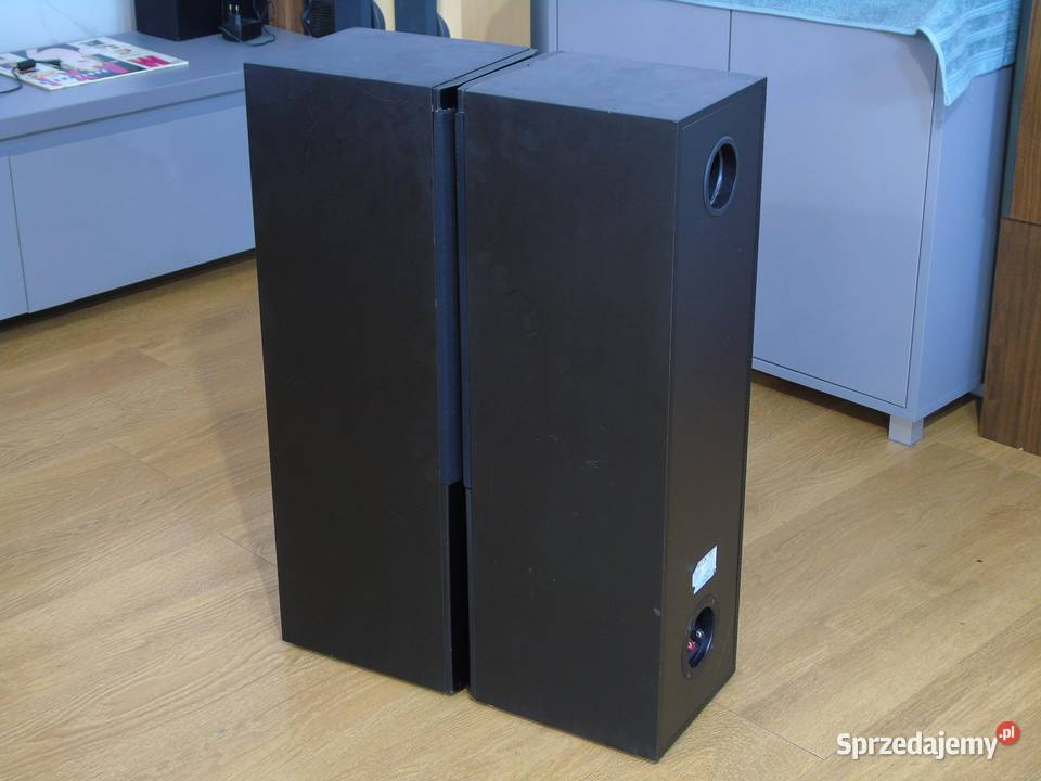 Świetne kolumny stereo ASW Sonus DC 100 sprawne podkarpackie Jasło