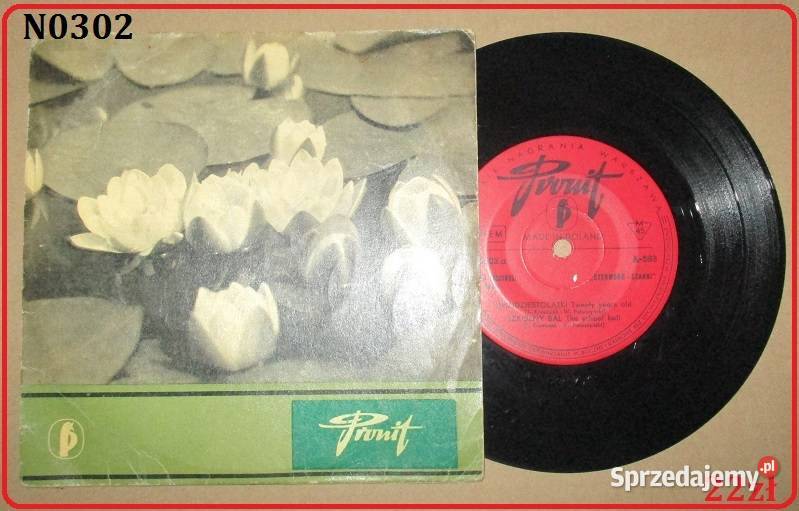 Czerwono Czarni MKossowski Dwudziestolatki płyta Płyty i kasety Łódź sprzedam