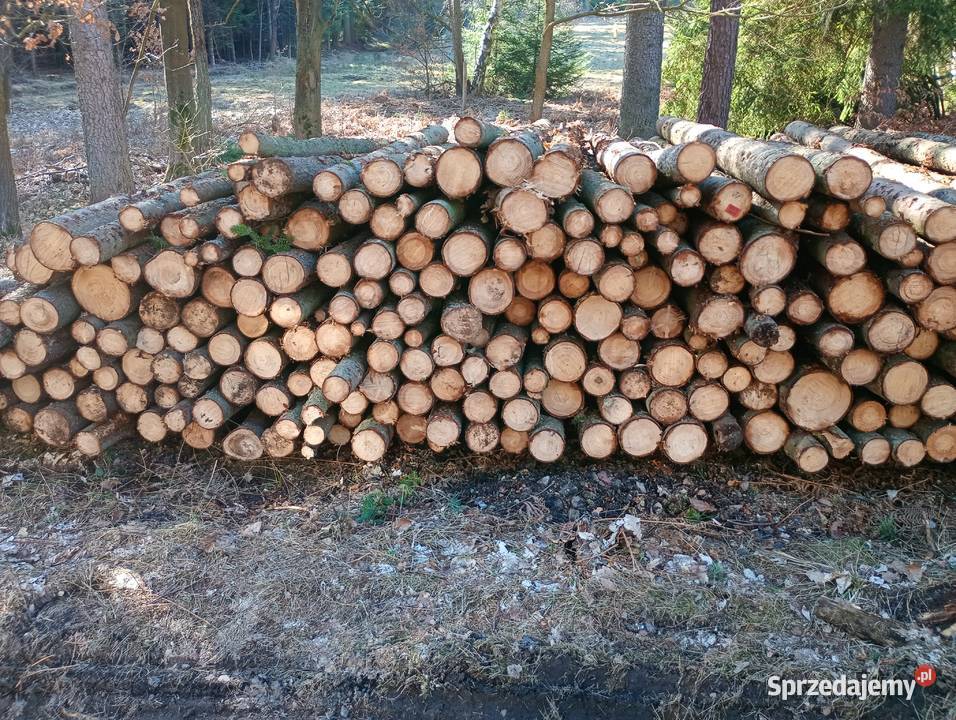 Stęple żerdzie słupki ogrodzeniowe Ludwikowice Kłodzkie
