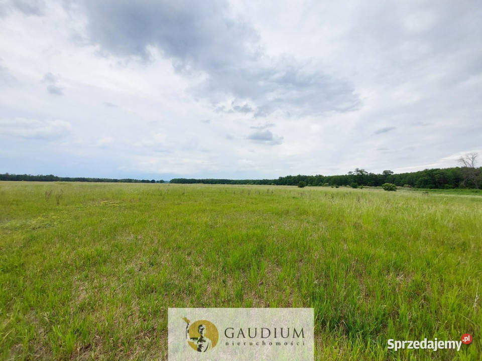 Turystyka brzegiem rzeki Obry szambo Karszyn