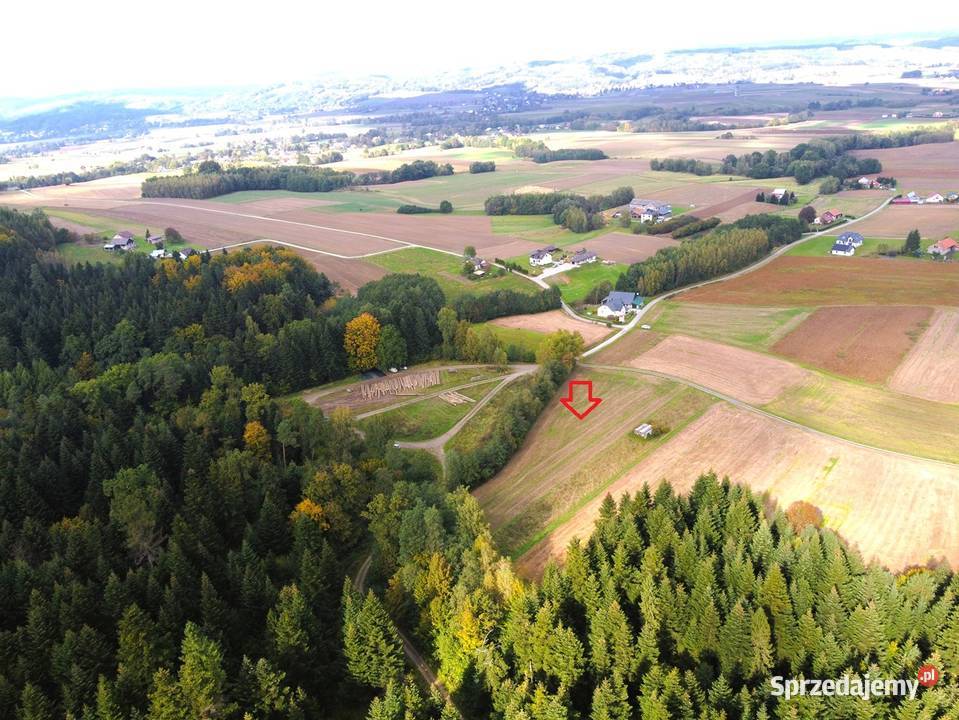 Działka lesie 59 ar Kozłówek