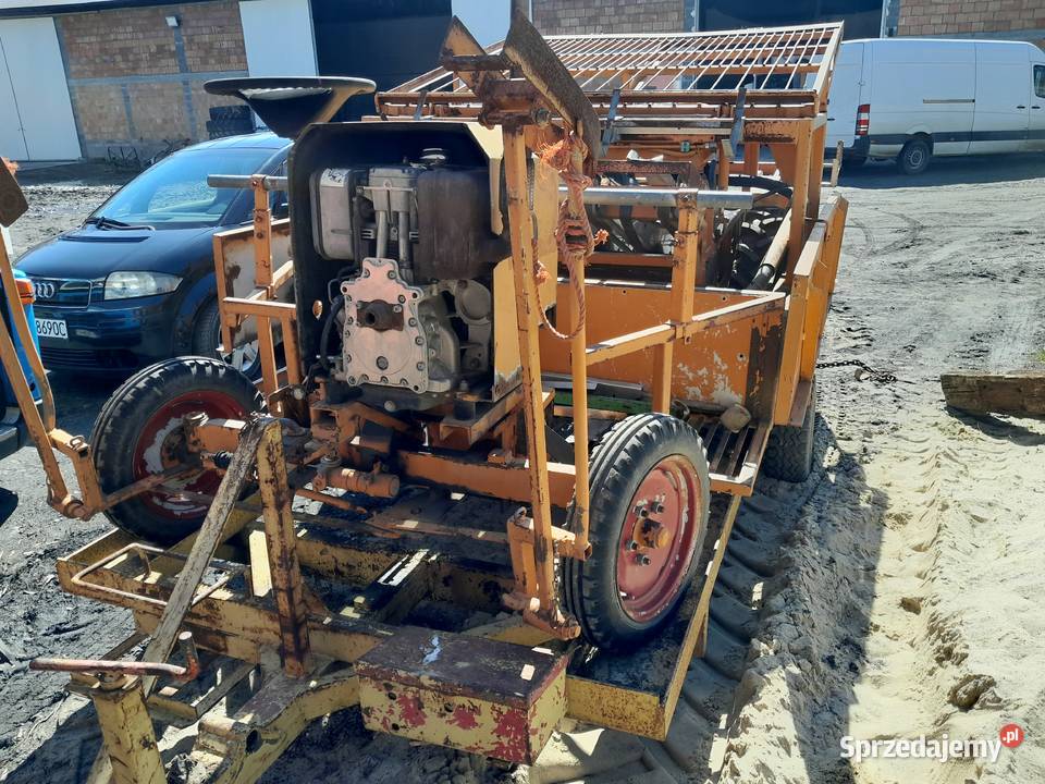 Sadzarka do warzyw taśmowa Sandomierz