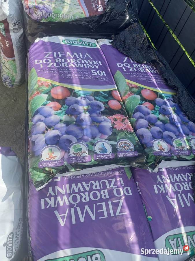Ziemia do borówki hortensji 50 litrów 9 worków Staszów