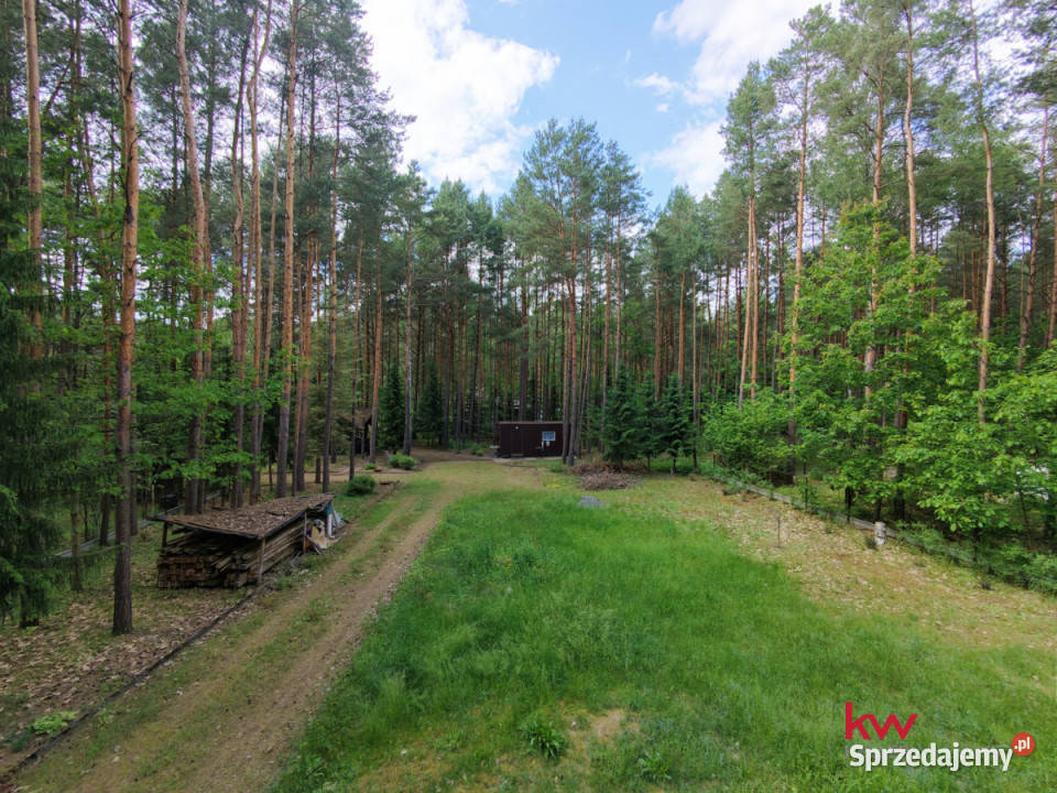 Grunt Masłońskie 3866m2 Sprzedaż