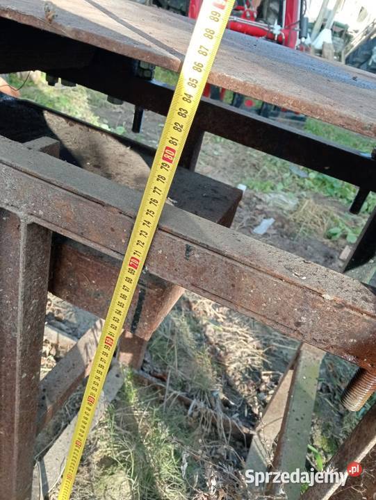 Heblarka grubościówka Wielkolas sprzedam