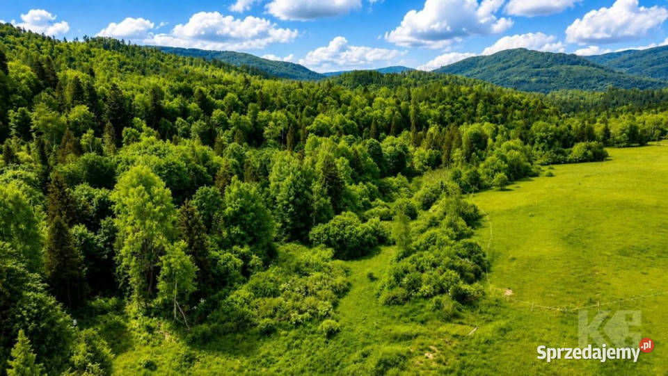 Grunt 43500m2 Strzebowiska budowlana