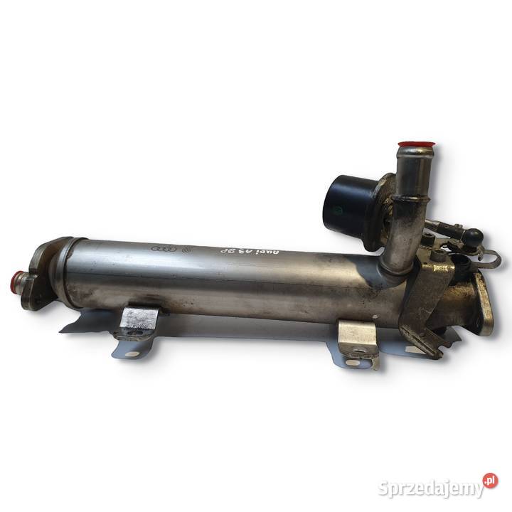 CHŁODNICA SPALIN VW Passat B6 Audi A3 8P 20 TDI lubelskie Chełm