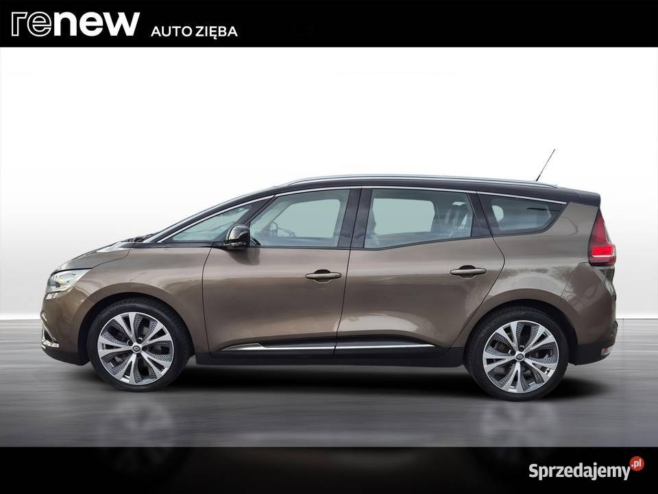 Scenic Gr 12 TCe Energy Intens serwisowany w ASO Grand Scenic Motoryzacja