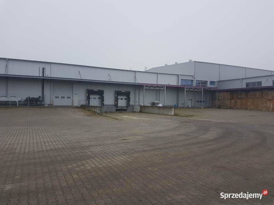 Budynek sortowniczomagazynowy Sprzedaż lubelskie Piotrawin sprzedam