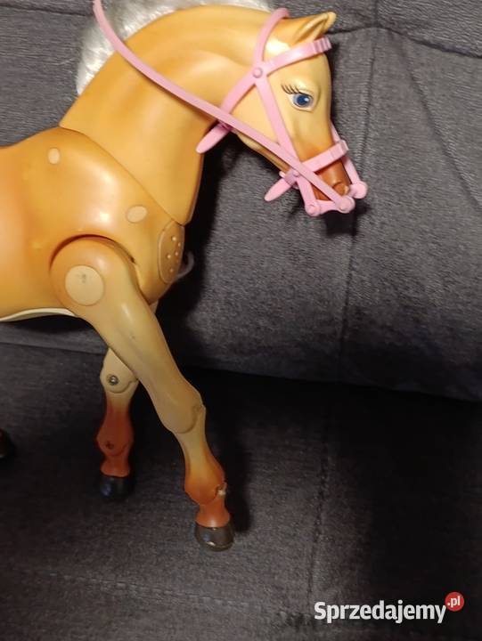 interaktywny koń wielkopolskie Poznań