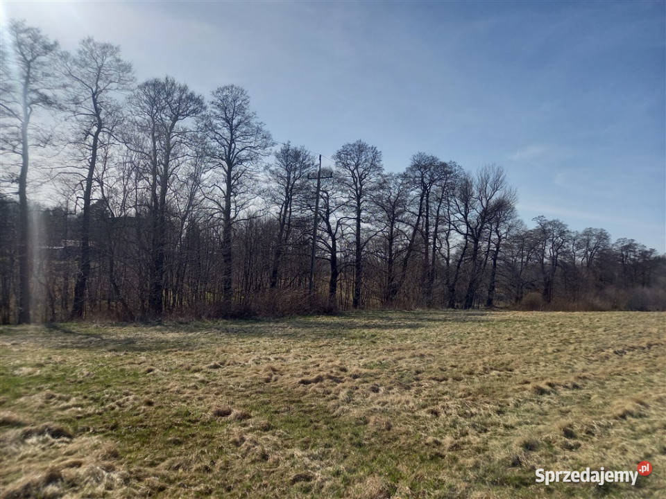 Dobrze skomunikowana działka w Jabłowie asfalt