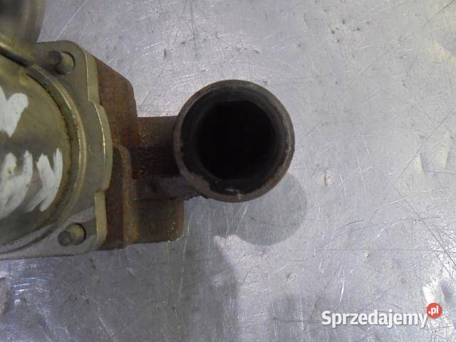 CHŁODNICZKA SPALIN RENAULT KANGOO 15 DCI sprzedam