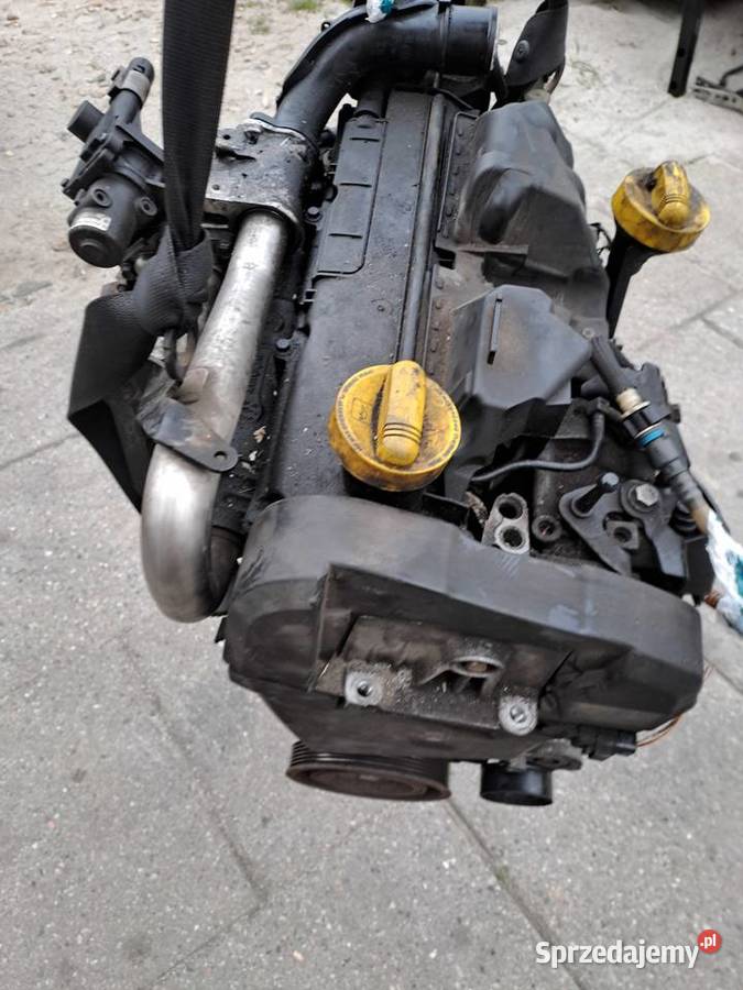Renault Kangoo II Modus Dacia 15 DCi 68 silnik Jastrzębie-Zdrój