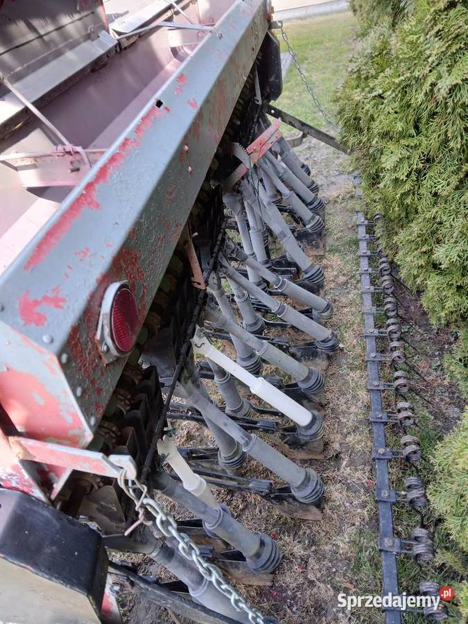 Siewnik Poznaniak Chełm