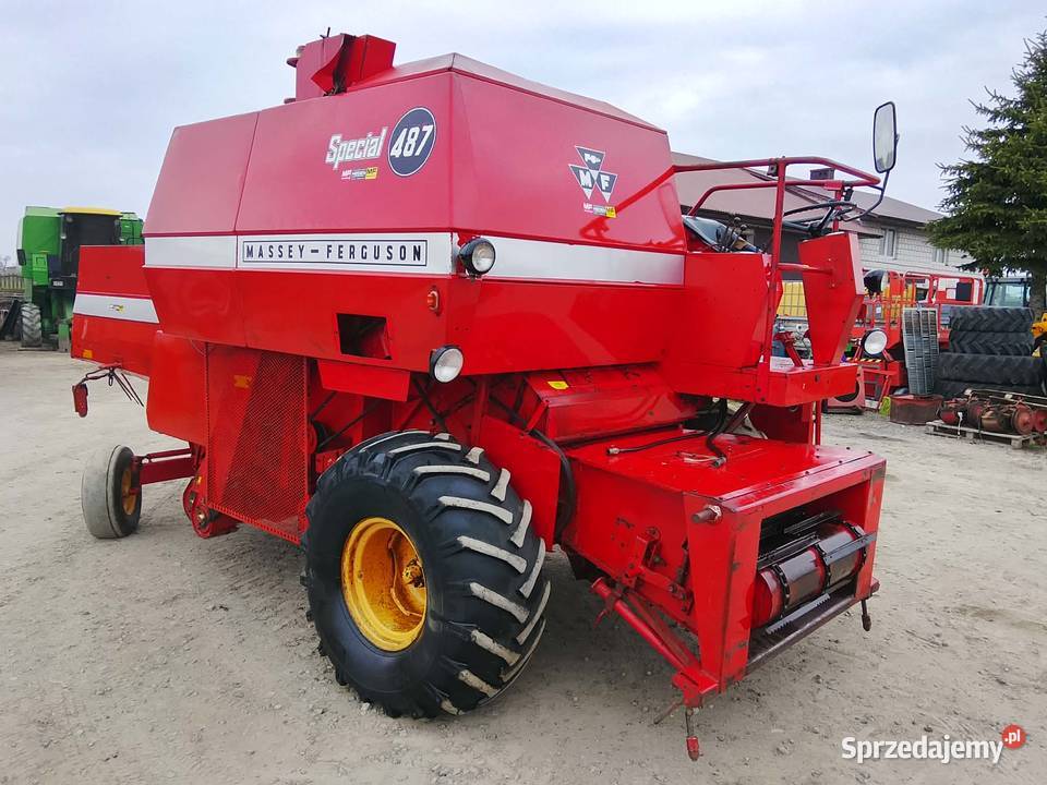 Kombajn Massey Ferguson 487 Specjal sieczkarnia Zbożowe Zbożowe mazowieckie Skaryszew