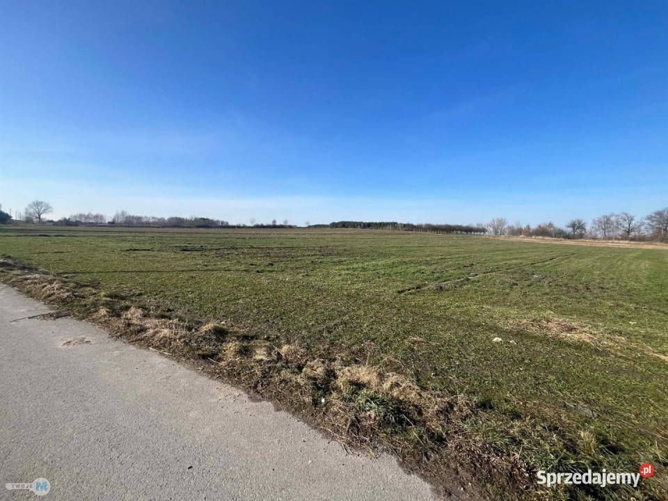 sprzedaży działki Gnojno 5800m2 sprzedam