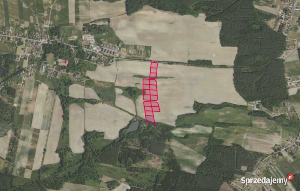 Działki 33684 i inne w miejscowości Grabowno Sprzedaż Grabowno Wielkie