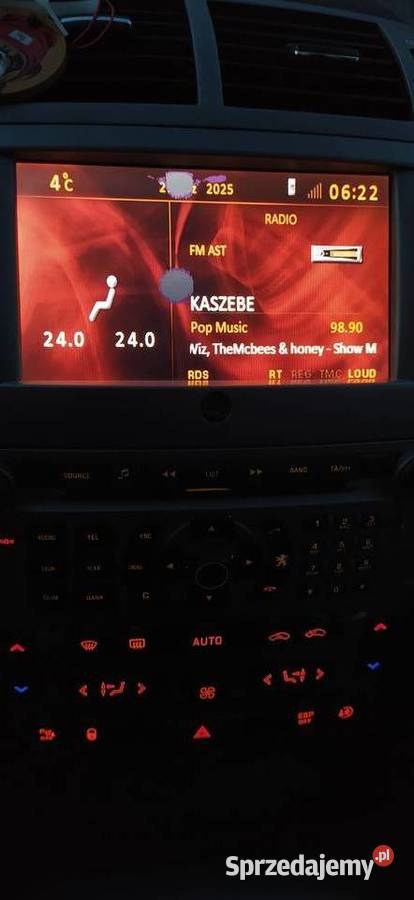 PEUGEOT 4072008 20 HDI Puck