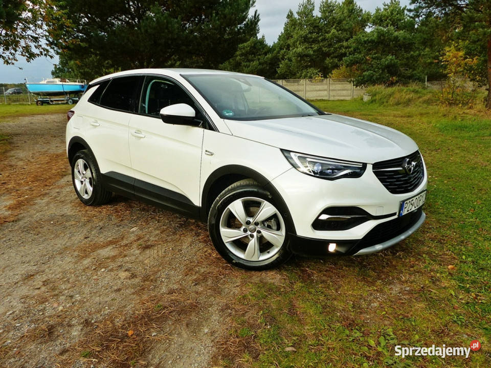 Opel Grandland X 15 biały Piła