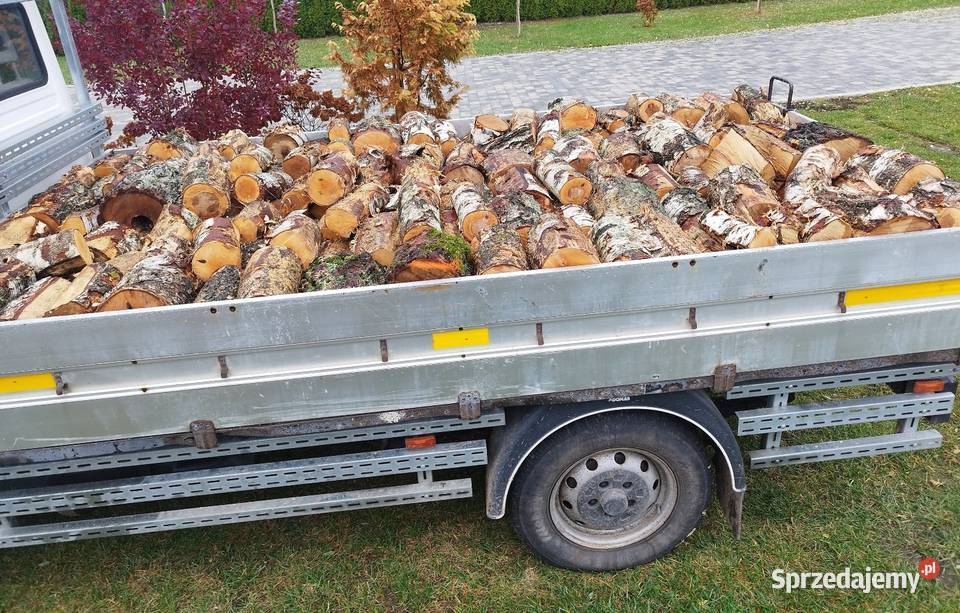 Dąb brzoza opał drewno drzewo Łomża