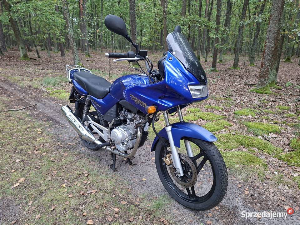 Yamaha diversion 125 Rok produkcji 2010 Majdan Królewski