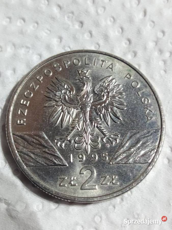 2 SUM 1995 r Świdnica