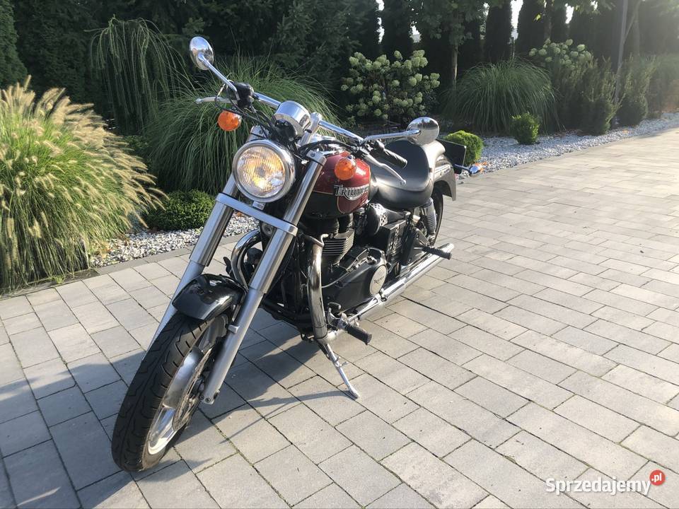 Triumph speedmaser zarejestrowany w Polsce Pleszew