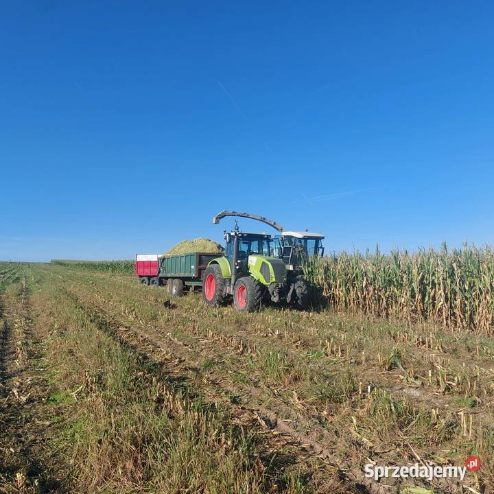sprzedam CLAAS Axion 810 Przyłęczek