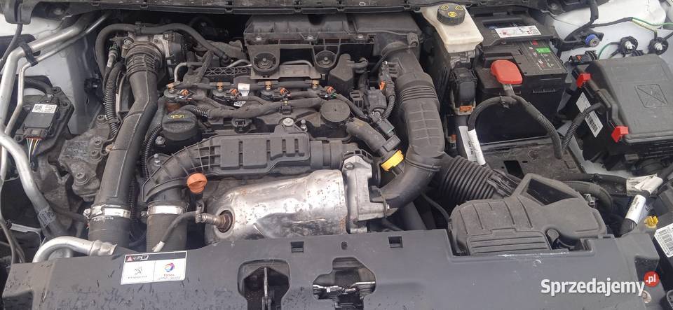 peugeot 398 37800km wielkopolskie Dziembowo