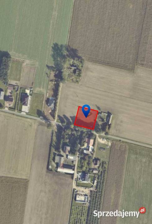 Działki budowlane 16 arów Dęby Szlacheckie 110zł/m2