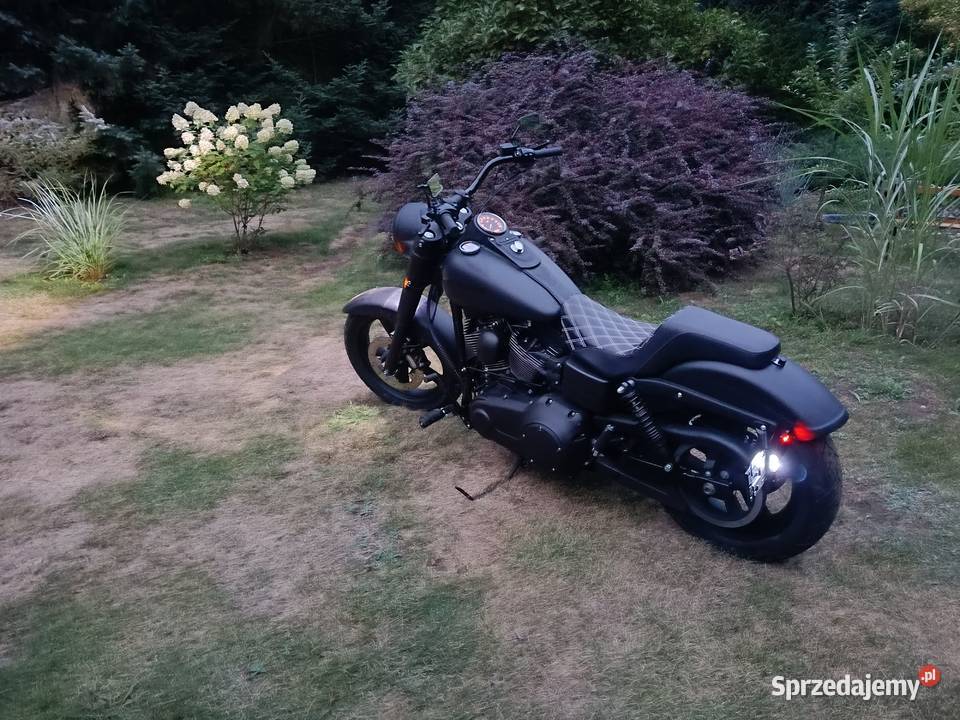Harley Davidson Gomunice