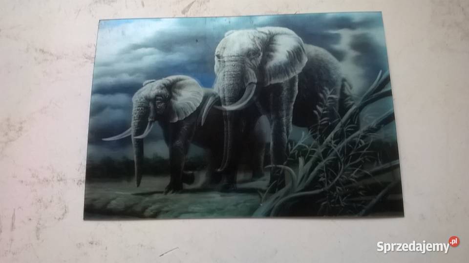 pocztówki widokówki trójwymiarowe zwierzęta Gliwice